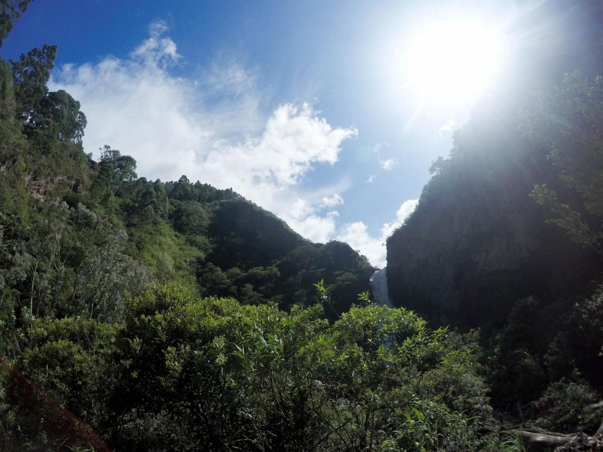 Mama Tungu Hostel Baños Eksteriør bilde