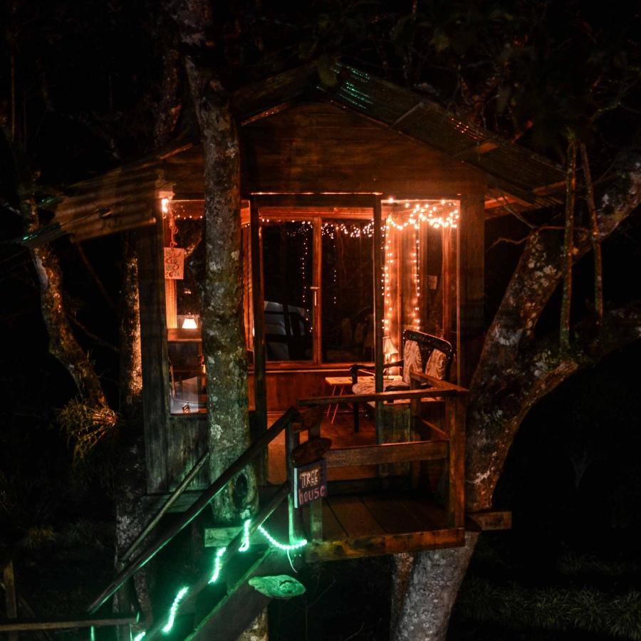 Mama Tungu Hostel Baños Eksteriør bilde